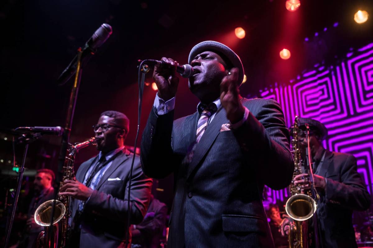 Photo d'un chanteur en plein concert The Jazz Room