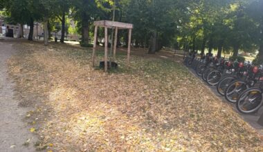 pourquoi c’est déjà l’automne à Lille