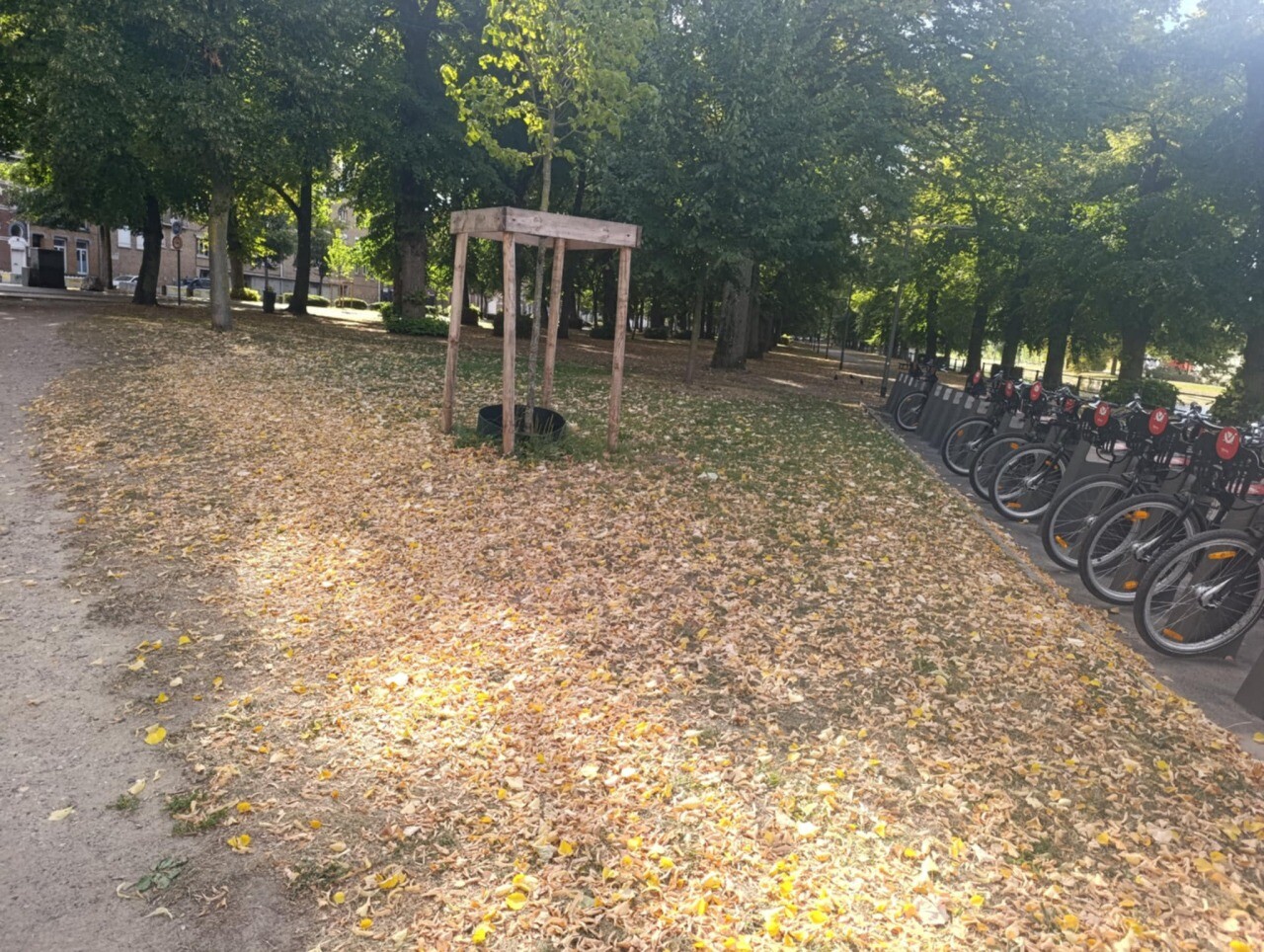 pourquoi c’est déjà l’automne à Lille