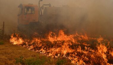 Les incendies ont brûlé une surface record en Europe depuis le début de l’année