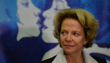Frédérique Bredin, présidente du CNC le 29 octobre 2013 (DANIEL MIHAILESCU)