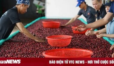 Vietnam.vn - Nền tảng quảng bá Việt Nam