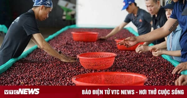 Vietnam.vn - Nền tảng quảng bá Việt Nam