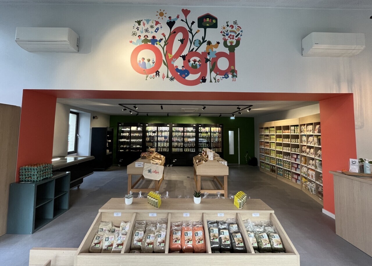 ce produit d'Olga récompensé sur un marché à 1,3 milliard de dollars