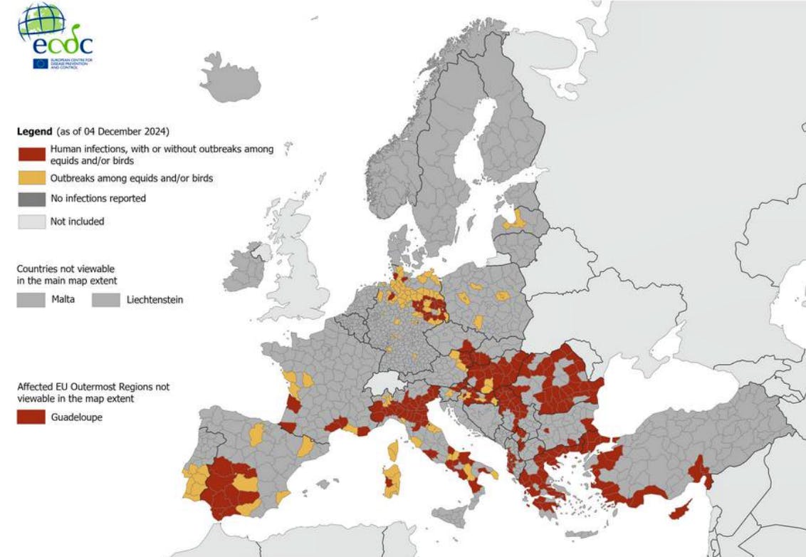 Répartition des infections humaines par le VNO acquises localement (régions NUTS 3 ou GAUL 1) et des cas chez les chevaux et/ou les oiseaux en Europe en 2024, au 4 décembre 2024.