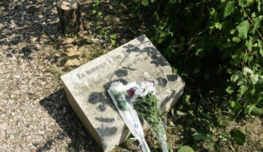 Indignation après l’abattage d’un arbre planté en hommage à Ilan Halimi