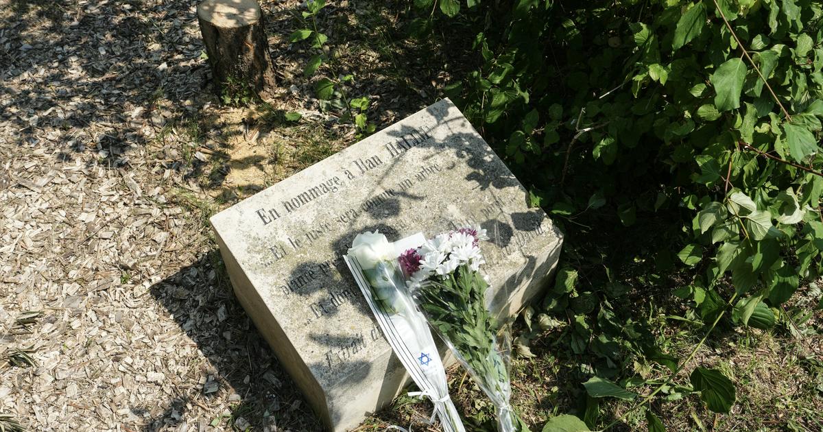 Indignation après l’abattage d’un arbre planté en hommage à Ilan Halimi