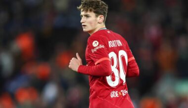 Après Šulc, l'OL met dix millions sur un milieu anglais - France - Olympique lyonnais