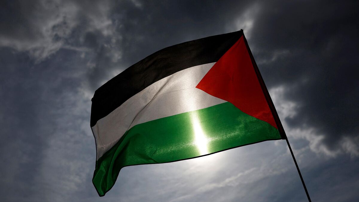 « Atteinte aux libertés » : une manifestation pro palestinienne interdite dans un quartier de Strasbourg