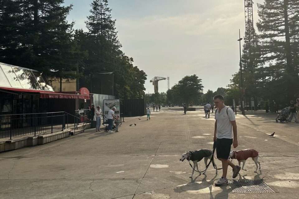 Sur le parvis des Nefs, à Nantes, les chiens cherchent l'ombre. 