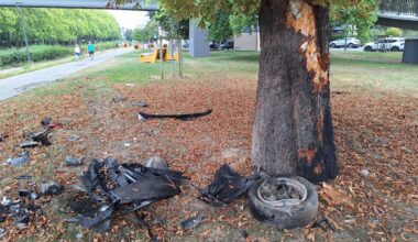 Une voiture vole sur 10m et abat un arbre à Lille - 18/08/2025