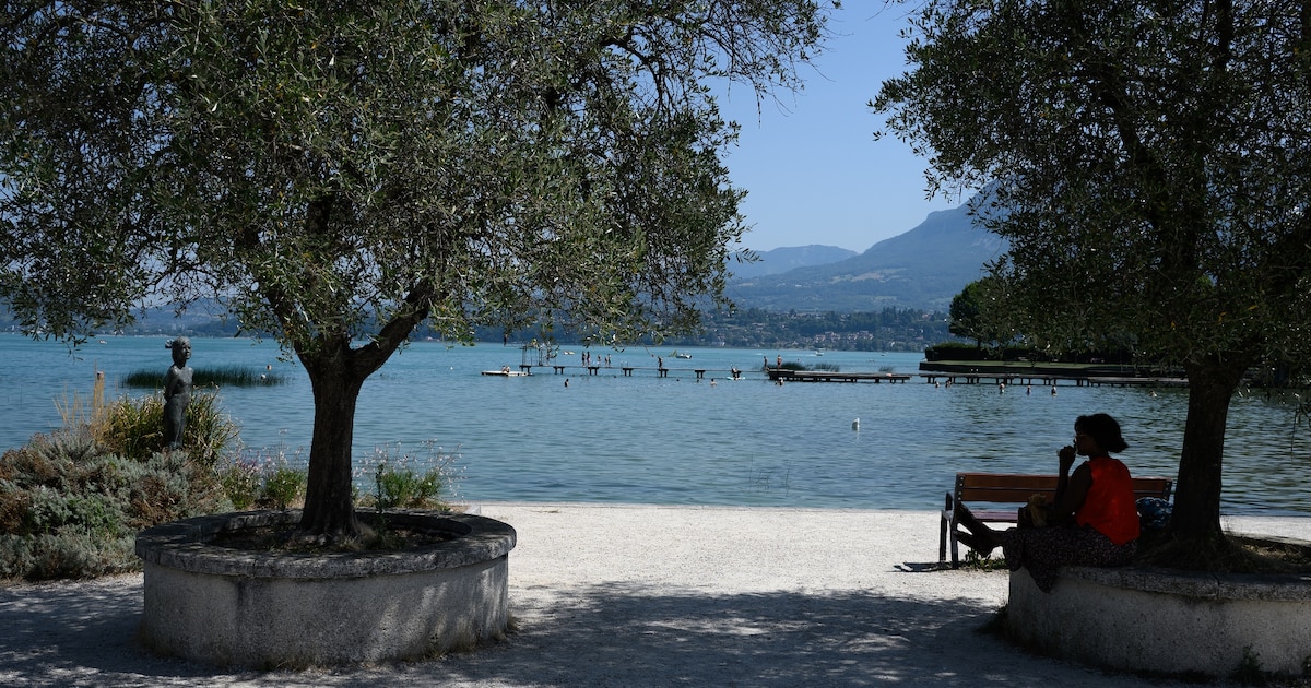 Une femme s'abrite du soleil à l'ombre d'un arbre sur une rive du lac du Bourget, au Bourget-du-Lac, en Savoie le 8 août 2025