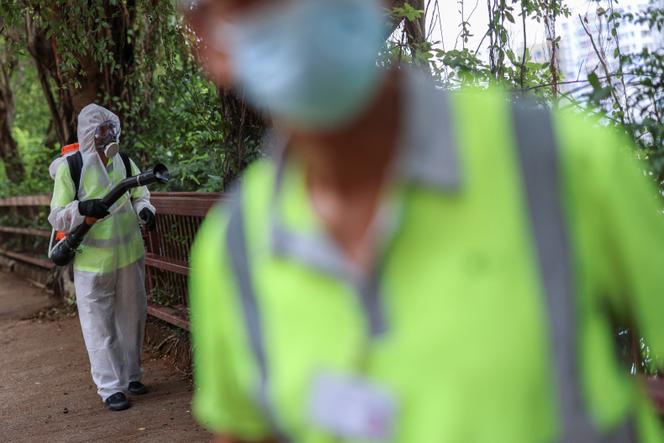 Un ouvrier pulvérise un insecticide à Hongkong, après l’annonce de cas importés de chikungunya, le 7 août 2025. 