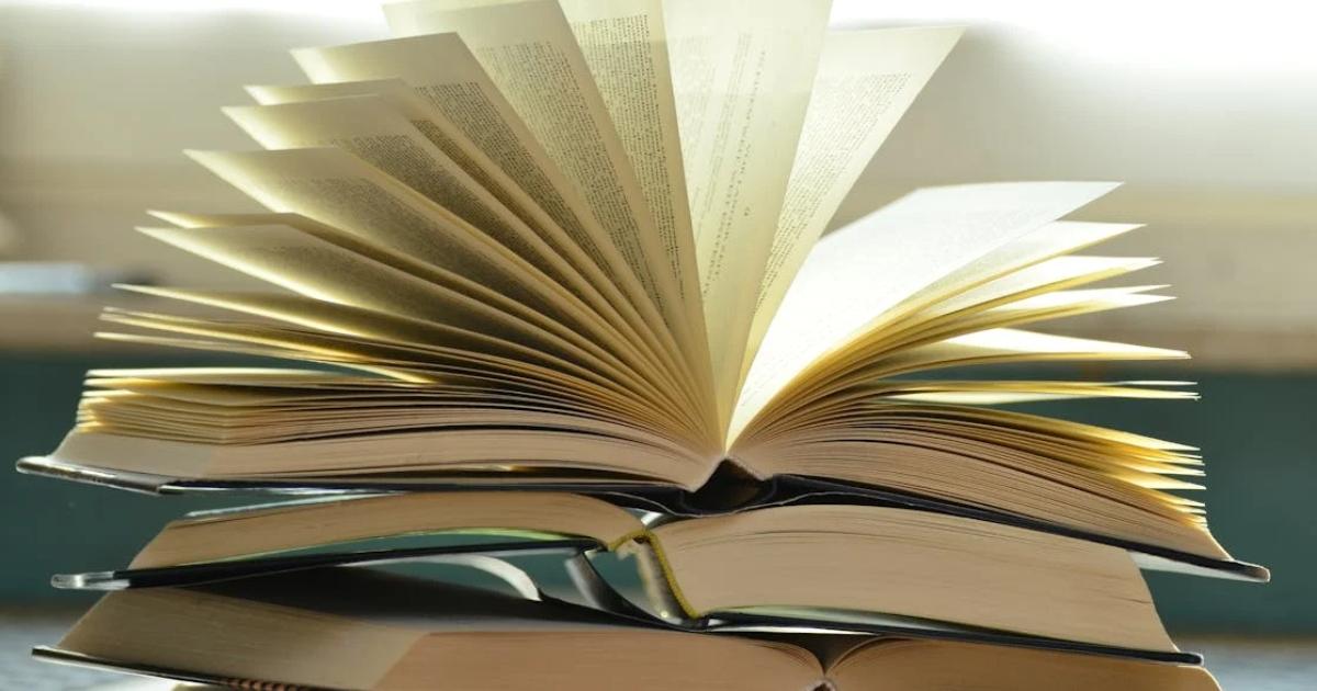 voici le livre de poche numéro un des ventes Amazon cet été