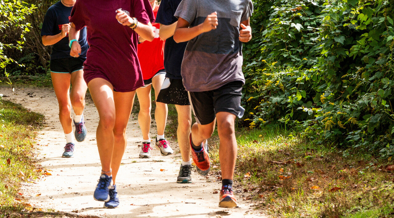 Villeneuve-d'Ascq. En septembre, courez 5 ou 10 km autour du lac du Héron pour la bonne cause