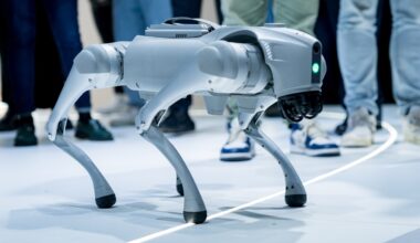 Chikungunya : Hong Kong déploie des robots-chiens pour lutter contre le moustique tigre