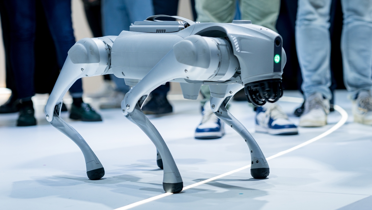 Chikungunya : Hong Kong déploie des robots-chiens pour lutter contre le moustique tigre