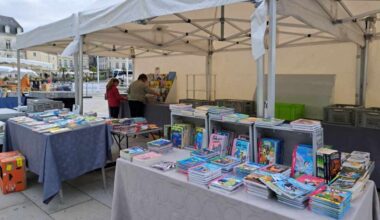 Livres, mangas, vinyles, jeux vidéo lors des vide-bibliothèques à Mont-de-Marsan