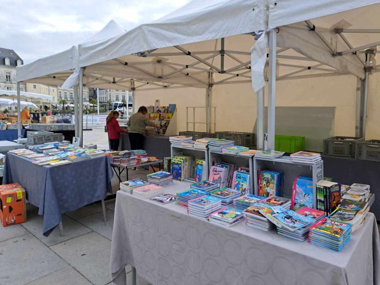 Livres, mangas, vinyles, jeux vidéo lors des vide-bibliothèques à Mont-de-Marsan