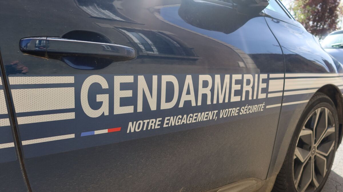 Deux hommes placés en garde à vue après la découverte du corps d’un homme près de Rennes, calciné et frappé à coups de marteau