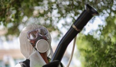Chikungunya près de Marseille : avec 23 cas autochtones, un «début d’épidémie» surveillé avec attention - Le Figaro