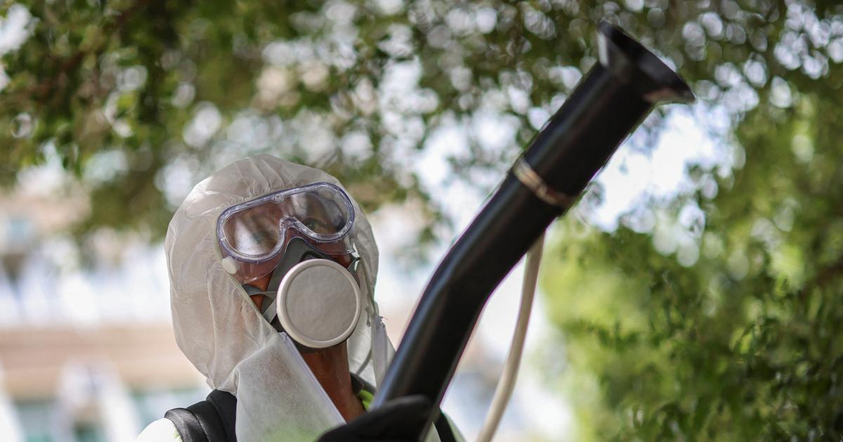 Chikungunya près de Marseille : avec 23 cas autochtones, un «début d’épidémie» surveillé avec attention - Le Figaro