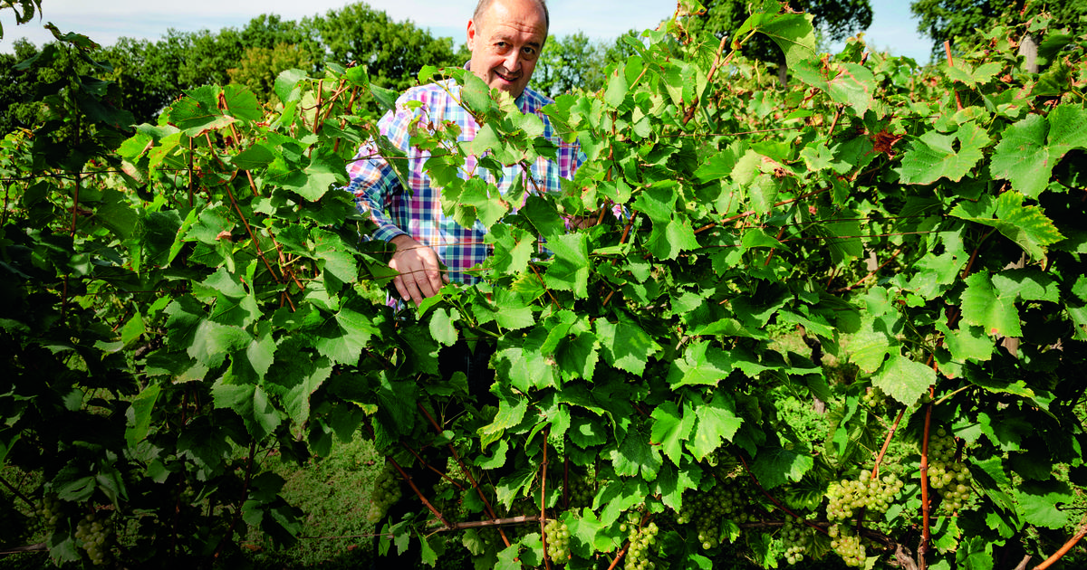le retour en force des vins d’Île-de-France