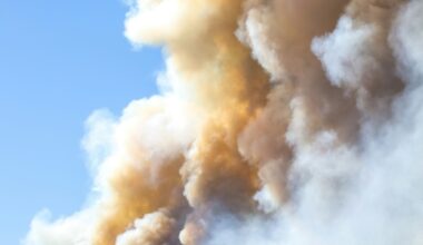 La Direction générale du renseignement ukrainien a attaqué une brigade de missiles antiaériens russe
