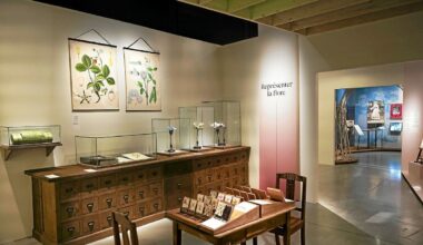 Notre sélection d’expositions à ne pas manquer à Rennes cet été