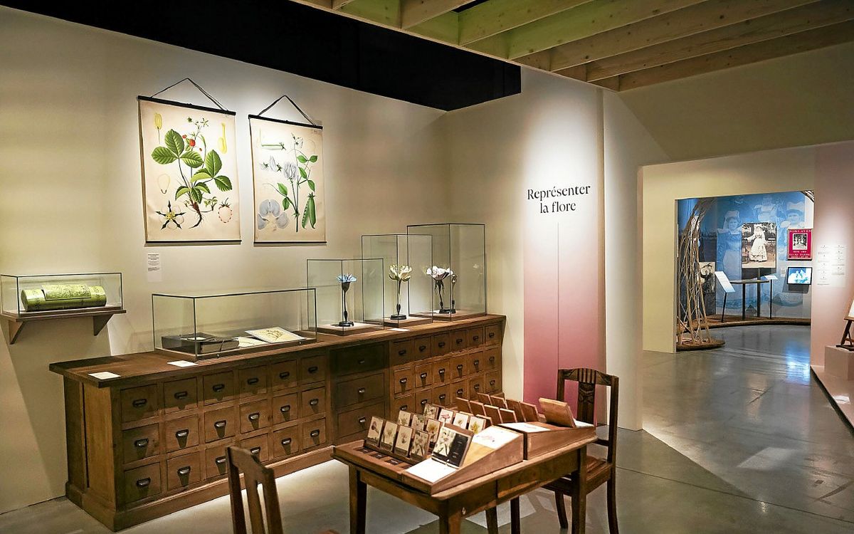 Notre sélection d’expositions à ne pas manquer à Rennes cet été