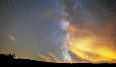 Quels sont les meilleurs spots à Rennes pour observer les étoiles filantes ?