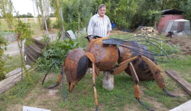 une abeille noire géante à découvrir dans le jardin de l’artiste JieM Bourasseau