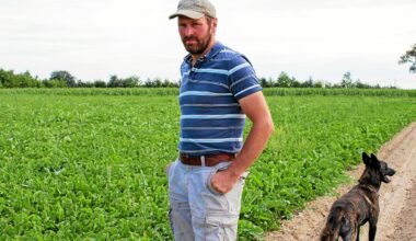 « On peut se passer de pesticides » : en Ille-et-Vilaine, ces agriculteurs veulent produire le premier sucre bio de Bretagne
