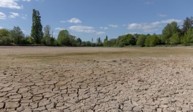 Record de sécheresse en Europe et sur le pourtour méditerranéen, à la mi-juillet