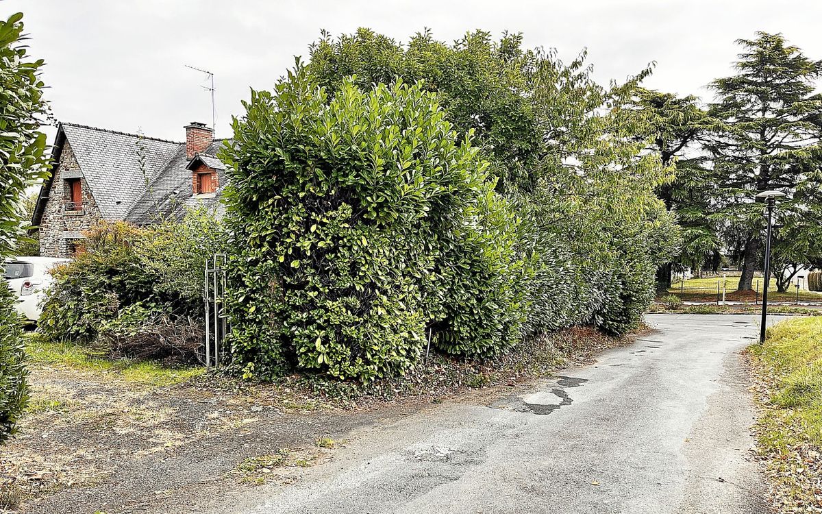 Près de Rennes, un projet immobilier oppose des riverains et un promoteur immobilier