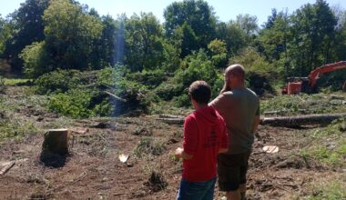 à Magné, une parcelle rasée près d’une rivière fait polémique