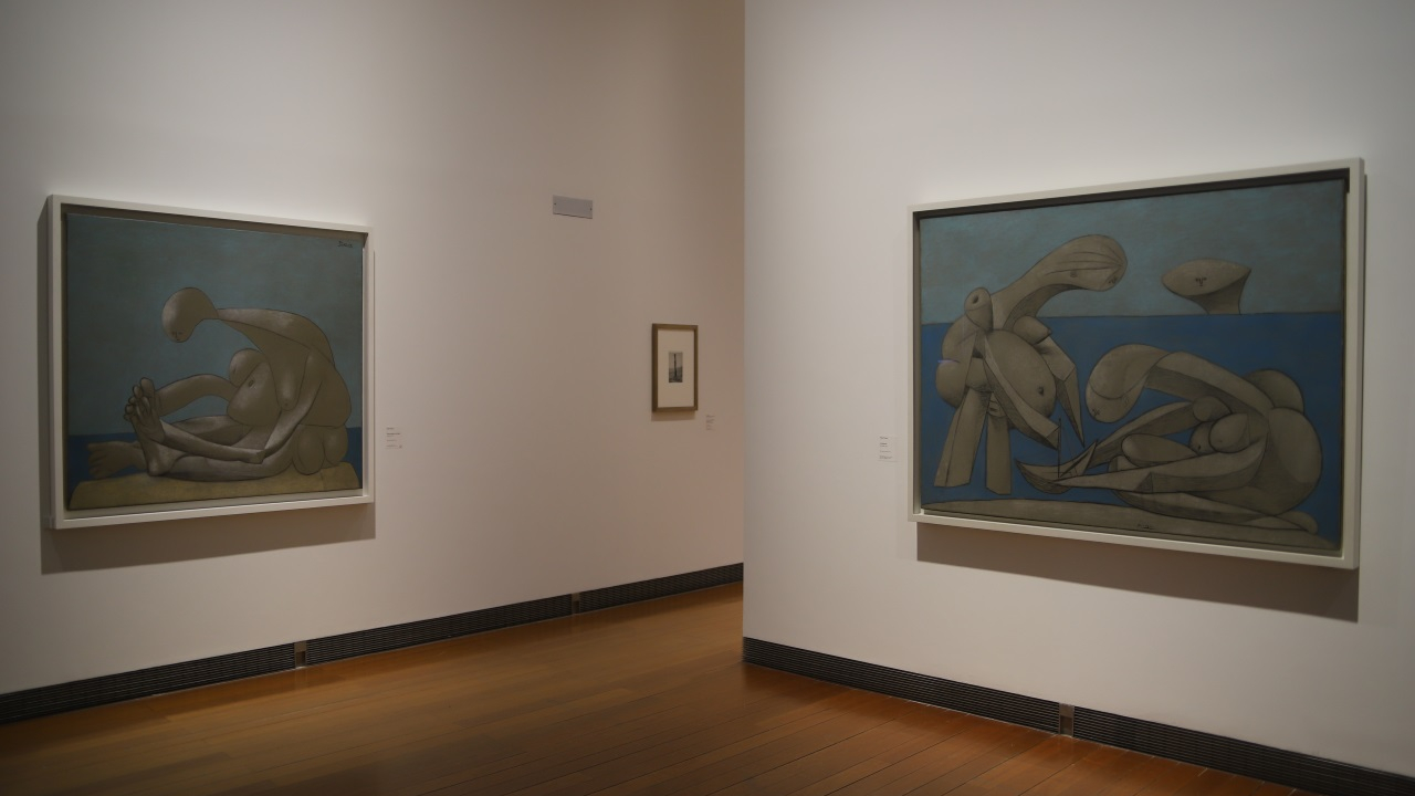 quatre musées deviennent gratuits, le parc Blandan ouvert toute la nuit