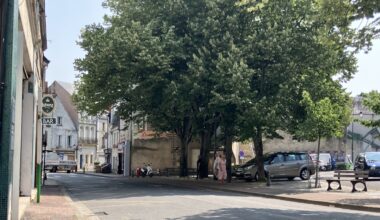 Cas de dengue à Châtellerault : périmètre analysé, éventuelle démoustication… Ce que l’on sait - lanouvellerepublique.fr