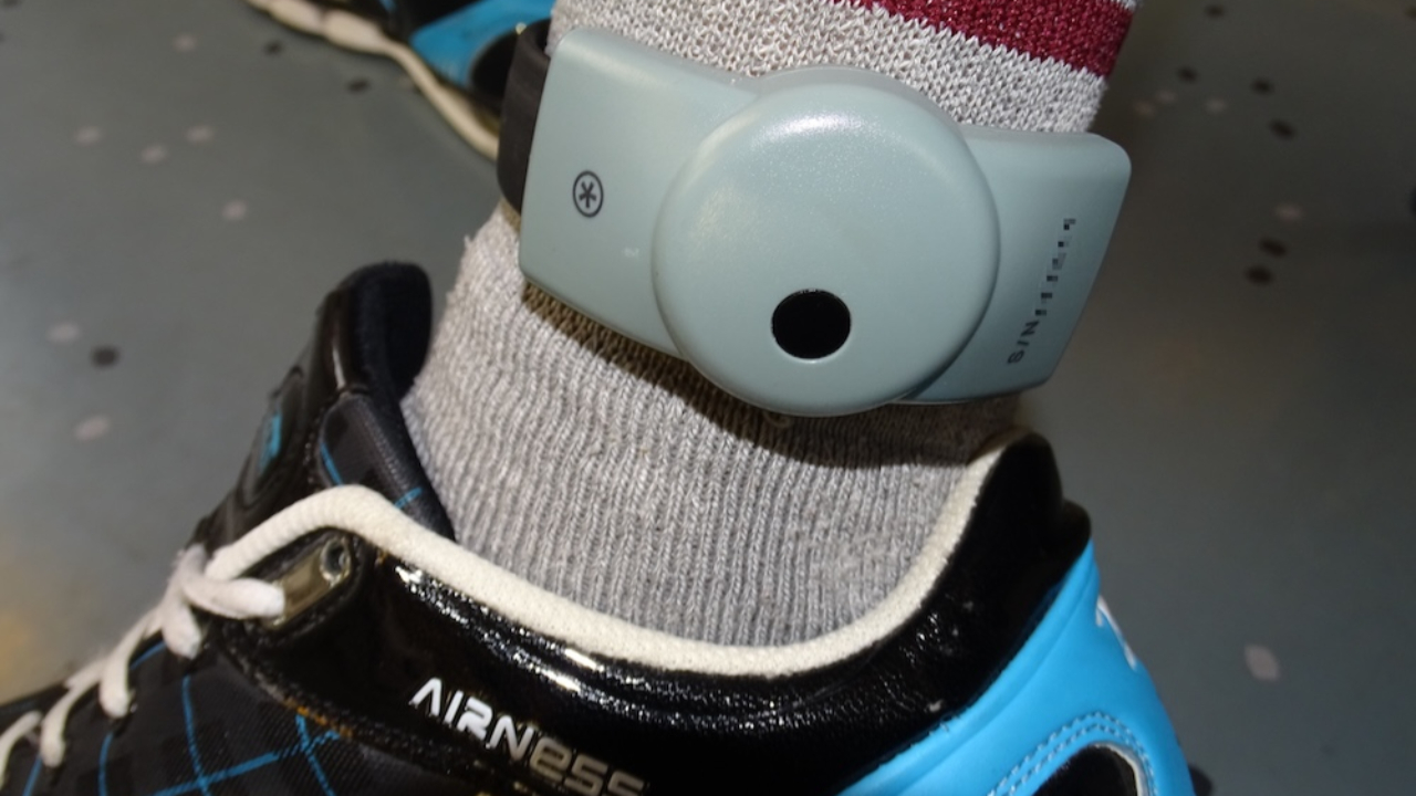 l'argent du deal allait payer son mariage, il épousera sa femme sous bracelet électronique