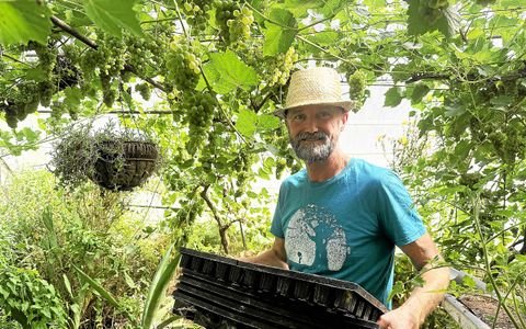 Louis Collet possède une gigantesque ferme à Boisgervilly.