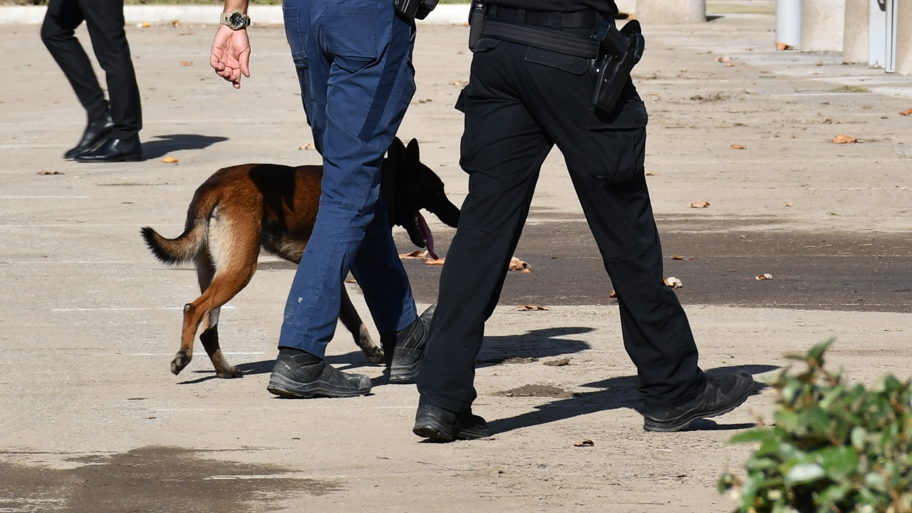 le domicile d'un dealer débusqué par un chien à Givors