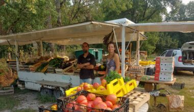 de nouveaux maraîchers biologiques s’installent dans le vieux-bourg