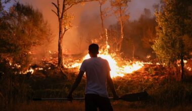 un bilan jamais vu pour les feux de forêt en 2025 – Libération