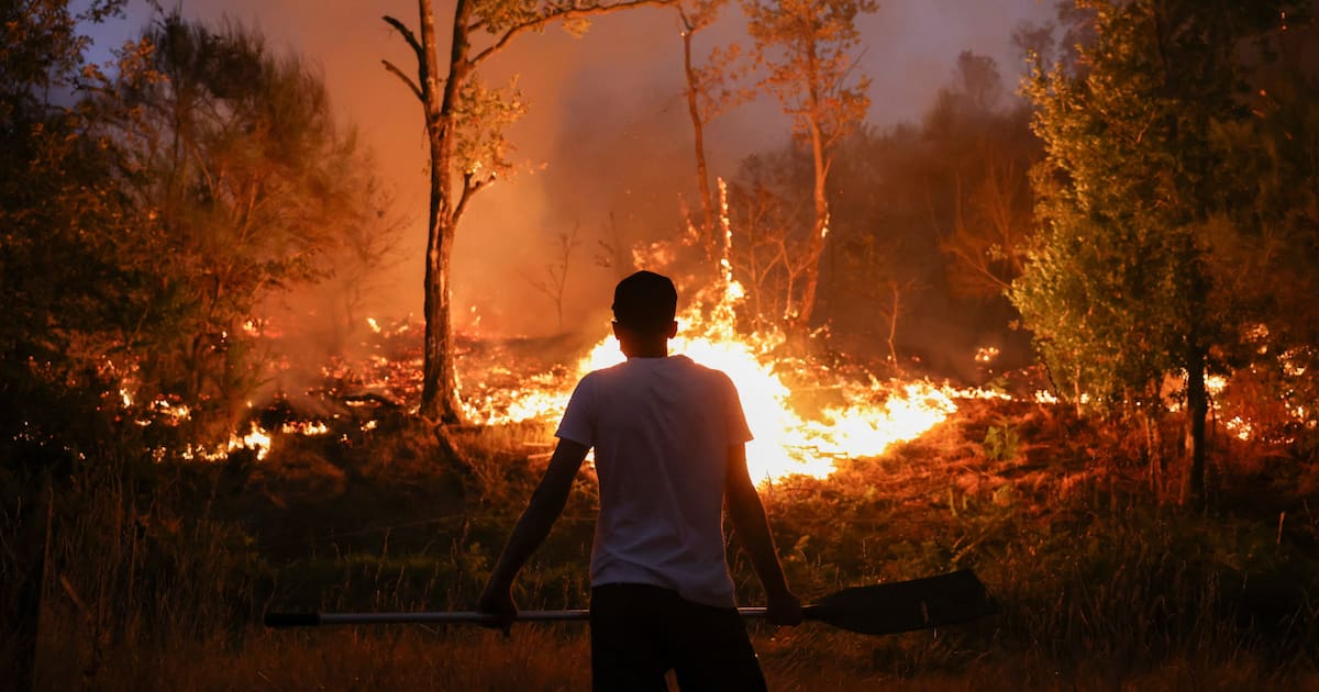 un bilan jamais vu pour les feux de forêt en 2025 – Libération