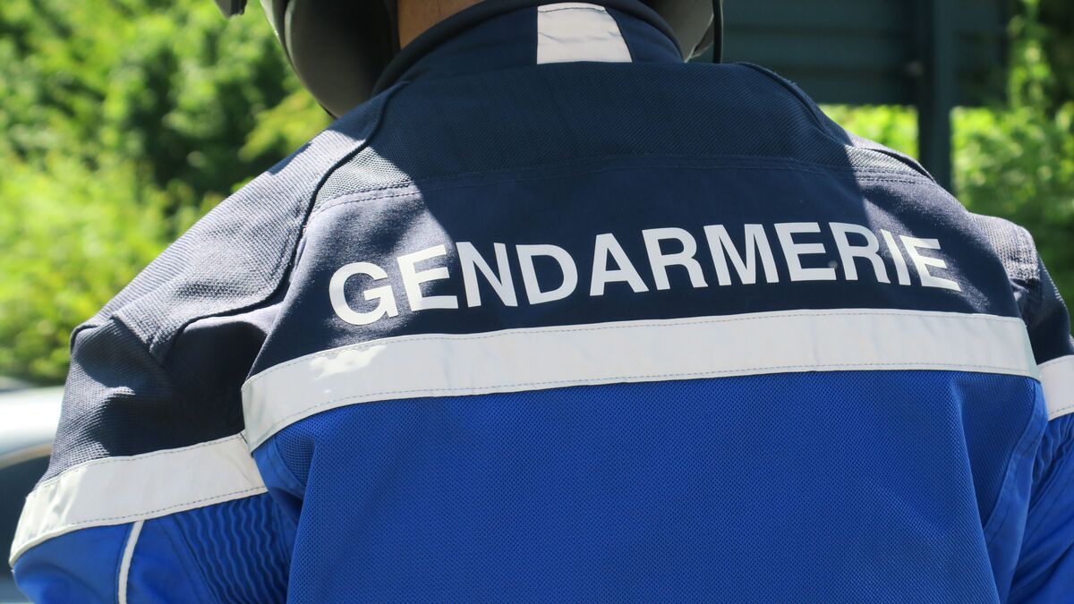 Un randonneur de 58 ans meurt après une chute de plusieurs centaines de mètres dans les Pyrénées