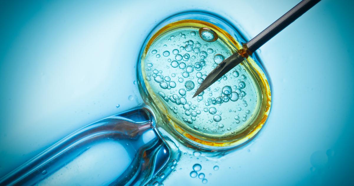 Le «plus vieux bébé» du monde vient de naître d’un embryon congelé en 1994 aux États-Unis