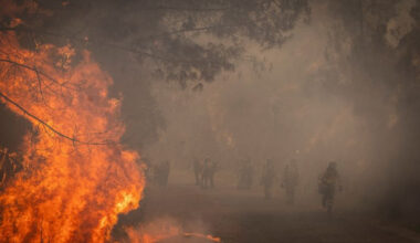UE: Les feux de forêt ont ravagé plus d'un million d'hectares cette année, un record - 26/08/2025 à 13:14