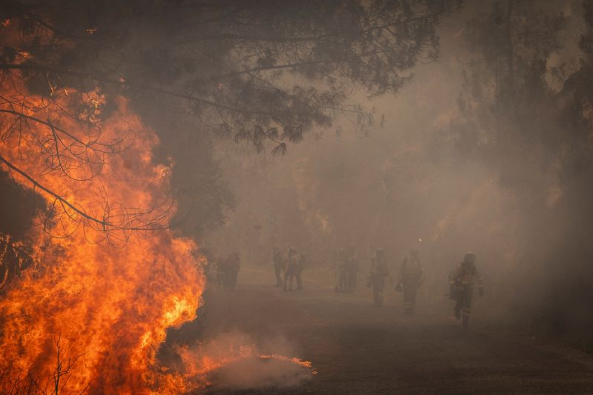 UE: Les feux de forêt ont ravagé plus d'un million d'hectares cette année, un record - 26/08/2025 à 13:14