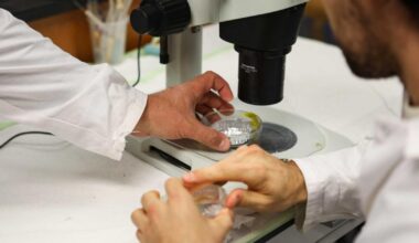 Six conseils pour limiter son exposition quotidienne aux microplastiques