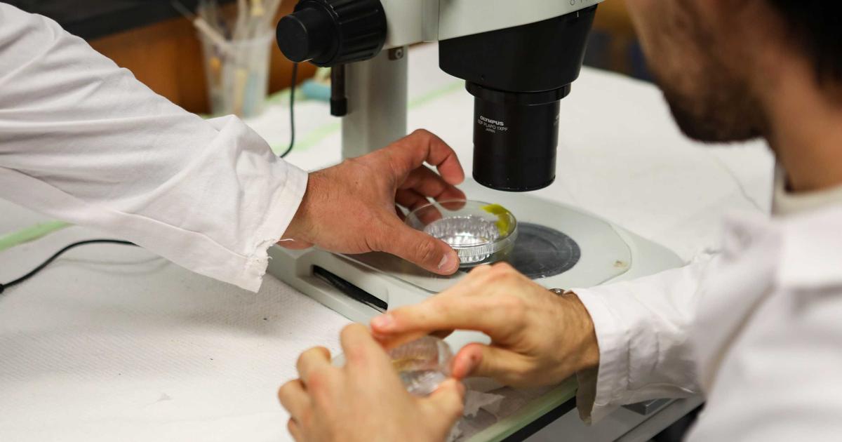 Six conseils pour limiter son exposition quotidienne aux microplastiques